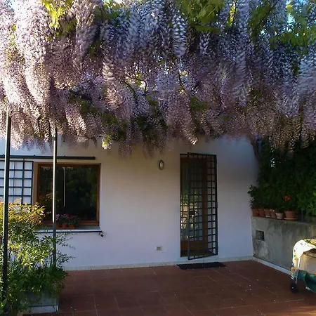 Poggio Al Lago * 아르쿠그나노